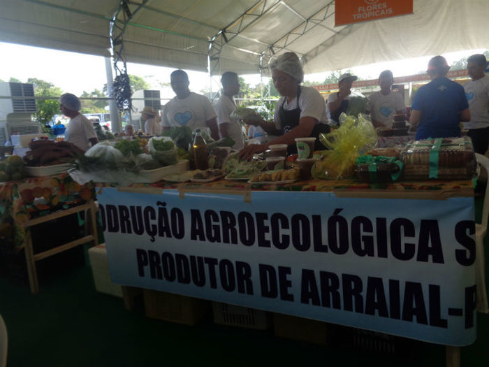 Feira Agroecológica - Imagem 6