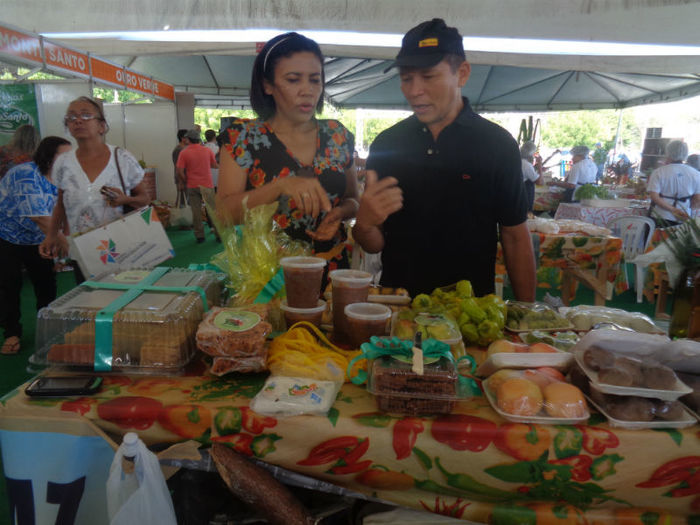 Feira Agroecológica - Imagem 7