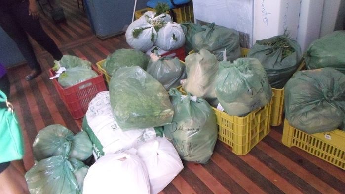 Famílias carentes de Oeiras são beneficiadas pelo PAA em ação da Prefeitura - Imagem 5