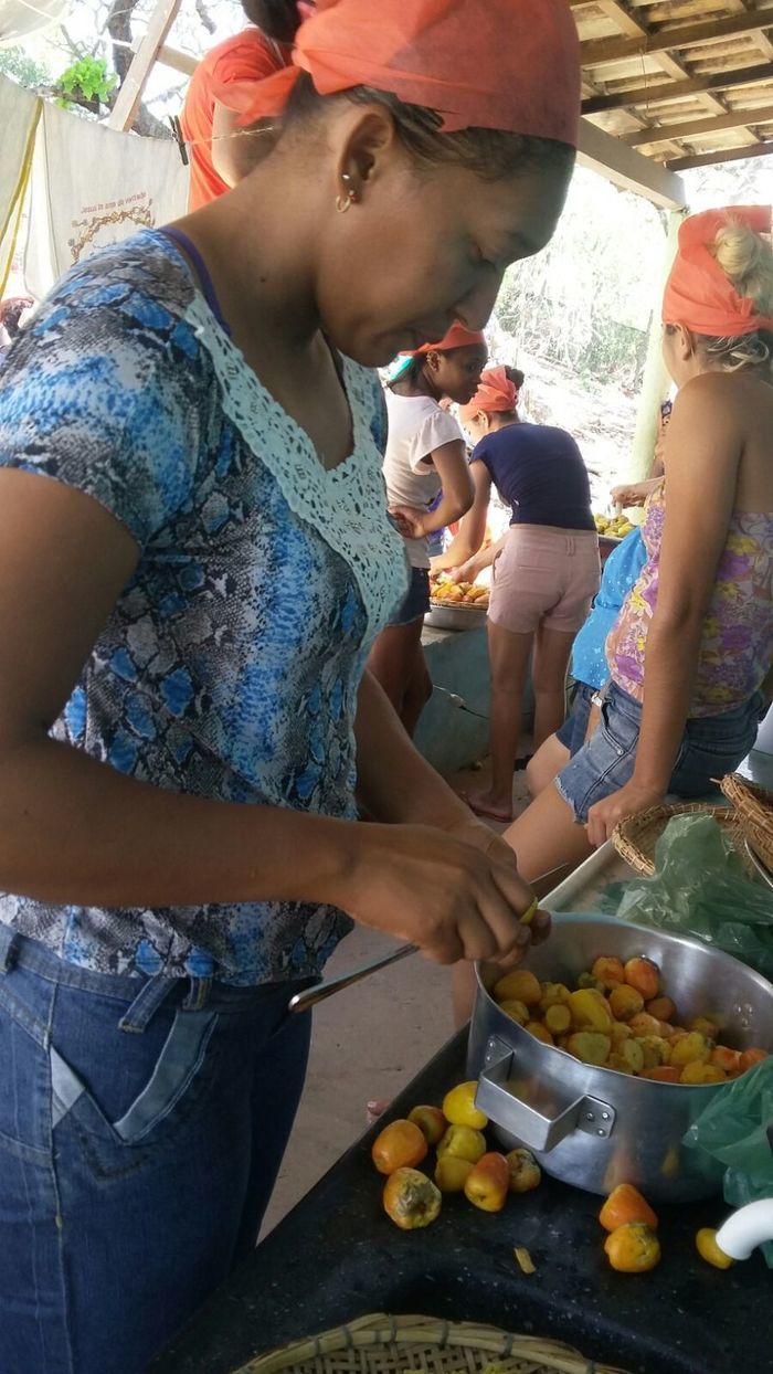 Curso de Aproveitamento do Pedúnculo do Caju Capacita Grupo de Mulheres No Brejo da Fortaleza - Imagem 10