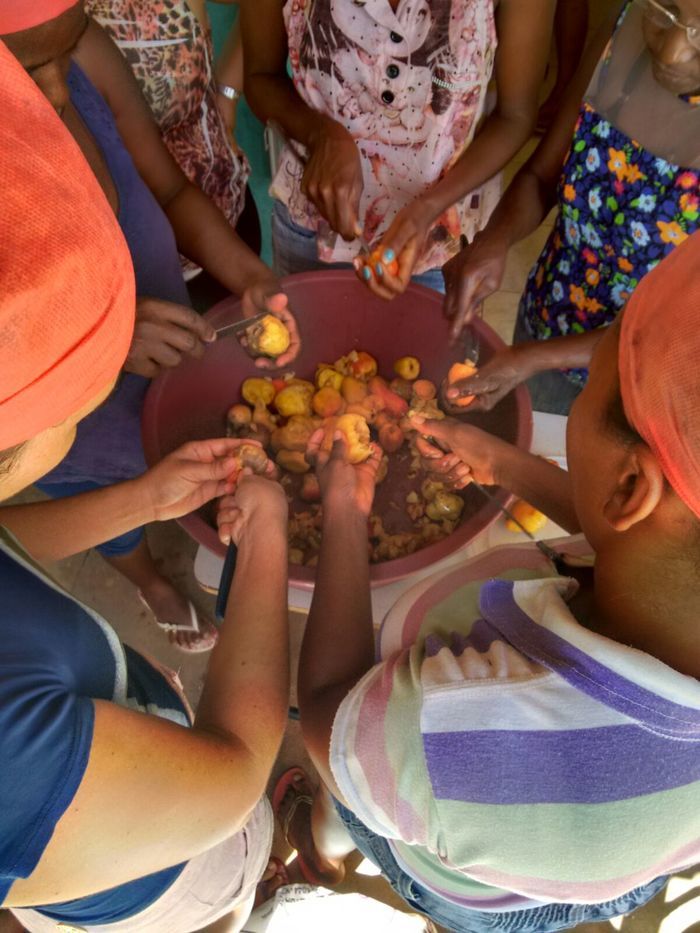 Curso de Aproveitamento do Pedúnculo do Caju Capacita Grupo de Mulheres No Brejo da Fortaleza - Imagem 20