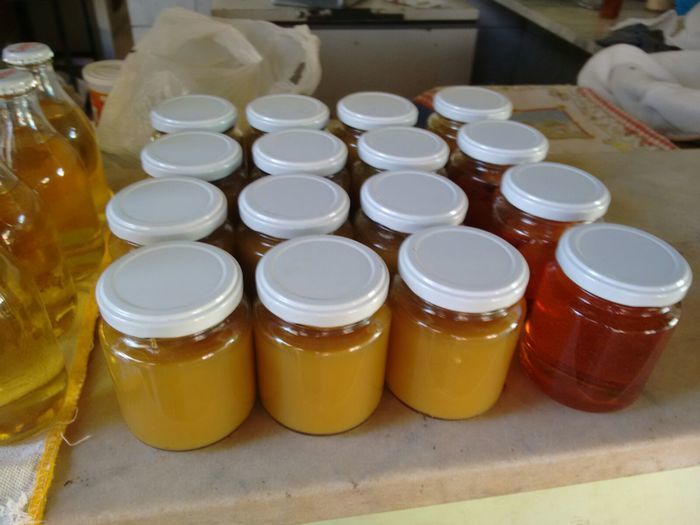 Curso de Aproveitamento do Pedúnculo do Caju Capacita Grupo de Mulheres No Brejo da Fortaleza - Imagem 25