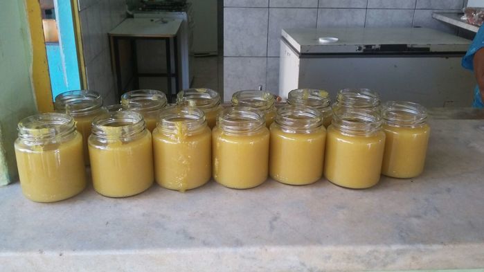 Curso de Aproveitamento do Pedúnculo do Caju Capacita Grupo de Mulheres No Brejo da Fortaleza - Imagem 31