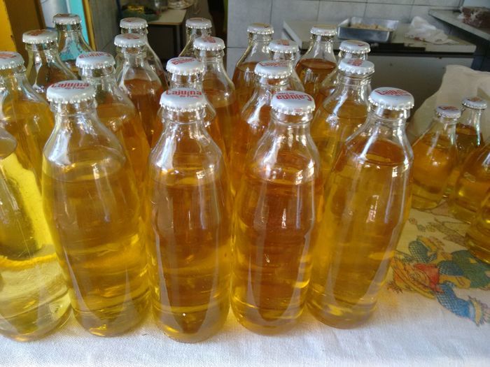 Curso de Aproveitamento do Pedúnculo do Caju Capacita Grupo de Mulheres No Brejo da Fortaleza - Imagem 22