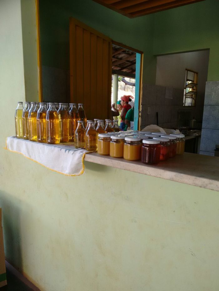 Curso de Aproveitamento do Pedúnculo do Caju Capacita Grupo de Mulheres No Brejo da Fortaleza - Imagem 21