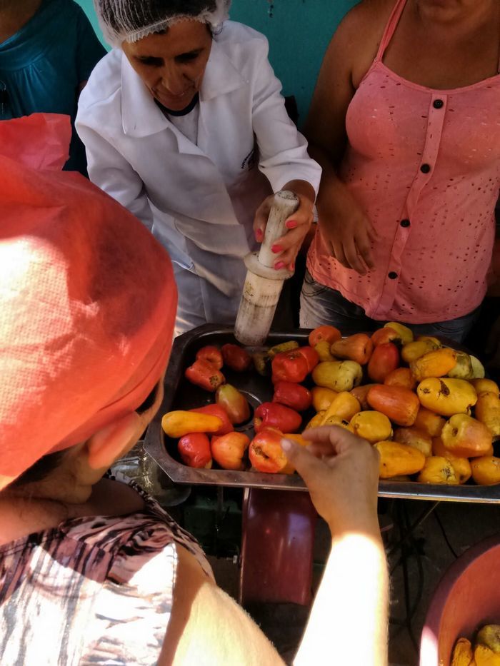Curso de Aproveitamento do Pedúnculo do Caju Capacita Grupo de Mulheres No Brejo da Fortaleza - Imagem 11