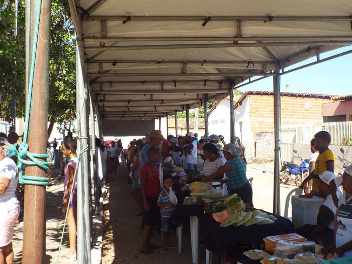 Feira Agroecológica - Imagem 7