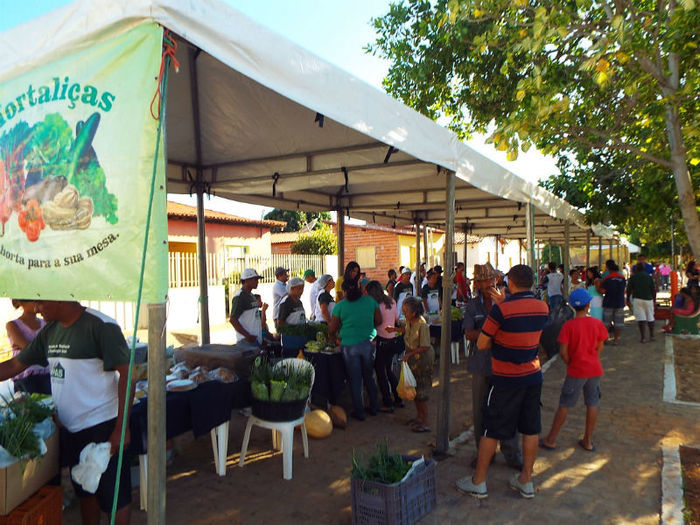Feira Agroecológica - Imagem 6