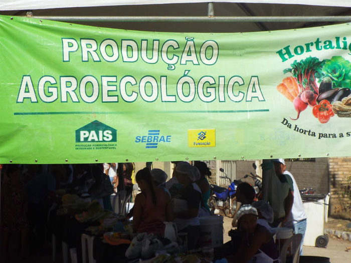 Feira Agroecológica - Imagem 8