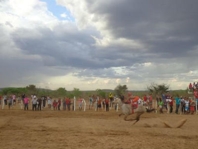 19º Corrida de Cavalo - Imagem 2