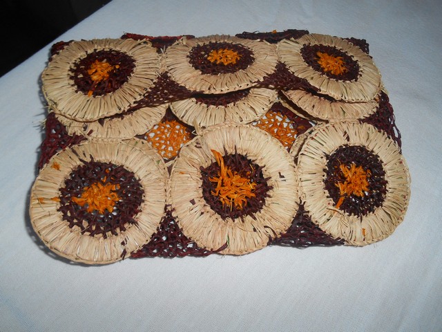 ASSARIPI Realiza Curso Com Fibra de Buriti - Imagem 26