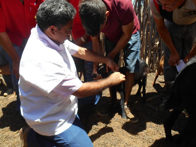 Universidade Federal Desenvolve Projeto em Ipiranga do Piauí - Imagem 54