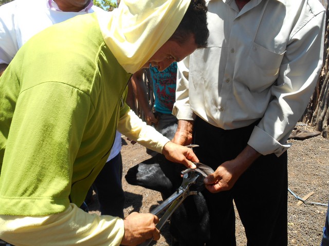 Universidade Federal Desenvolve Projeto em Ipiranga do Piauí - Imagem 91
