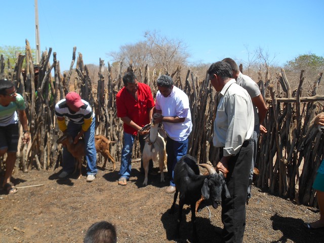Universidade Federal Desenvolve Projeto em Ipiranga do Piauí - Imagem 30