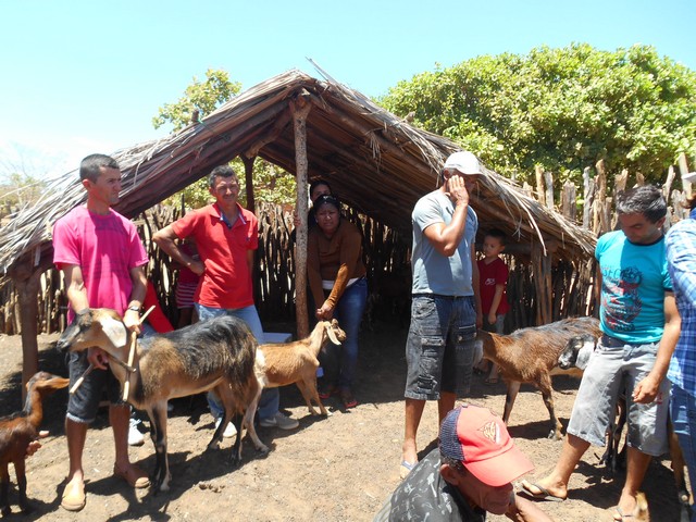 Universidade Federal Desenvolve Projeto em Ipiranga do Piauí - Imagem 49