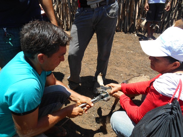 Universidade Federal Desenvolve Projeto em Ipiranga do Piauí - Imagem 70