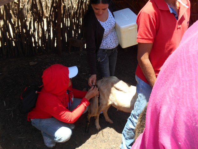 Universidade Federal Desenvolve Projeto em Ipiranga do Piauí - Imagem 43