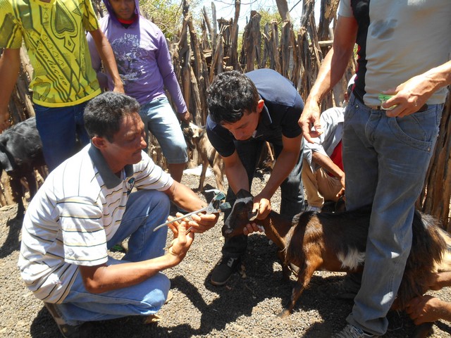 Universidade Federal Desenvolve Projeto em Ipiranga do Piauí - Imagem 81