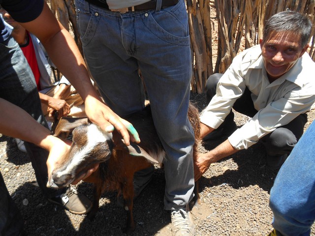 Universidade Federal Desenvolve Projeto em Ipiranga do Piauí - Imagem 85