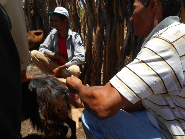 Universidade Federal Desenvolve Projeto em Ipiranga do Piauí - Imagem 88