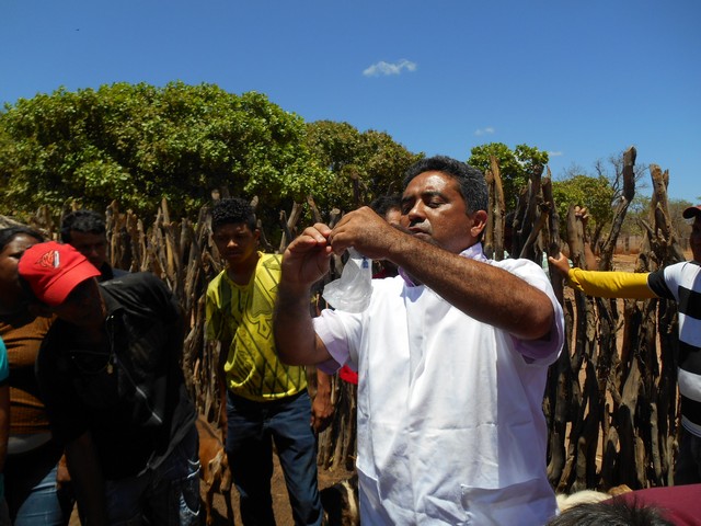 Universidade Federal Desenvolve Projeto em Ipiranga do Piauí - Imagem 59