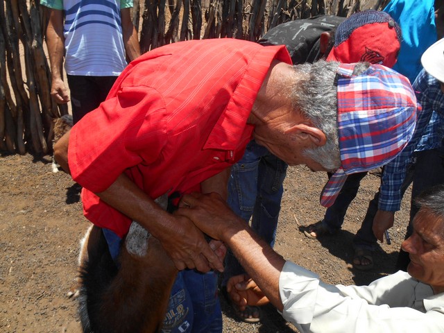 Universidade Federal Desenvolve Projeto em Ipiranga do Piauí - Imagem 78
