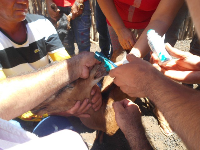 Universidade Federal Desenvolve Projeto em Ipiranga do Piauí - Imagem 66