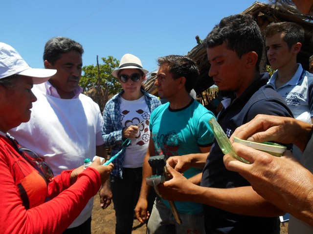 Universidade Federal Desenvolve Projeto em Ipiranga do Piauí - Imagem 72