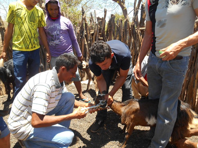 Universidade Federal Desenvolve Projeto em Ipiranga do Piauí - Imagem 82