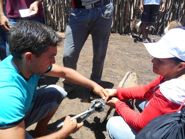 Universidade Federal Desenvolve Projeto em Ipiranga do Piauí - Imagem 69