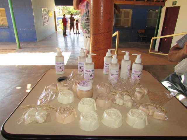 Universidade Federal Desenvolve Projeto em Ipiranga do Piauí - Imagem 4