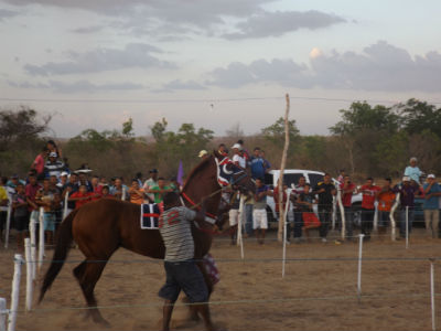 19ª Corrida de Cavalo - Imagem 27