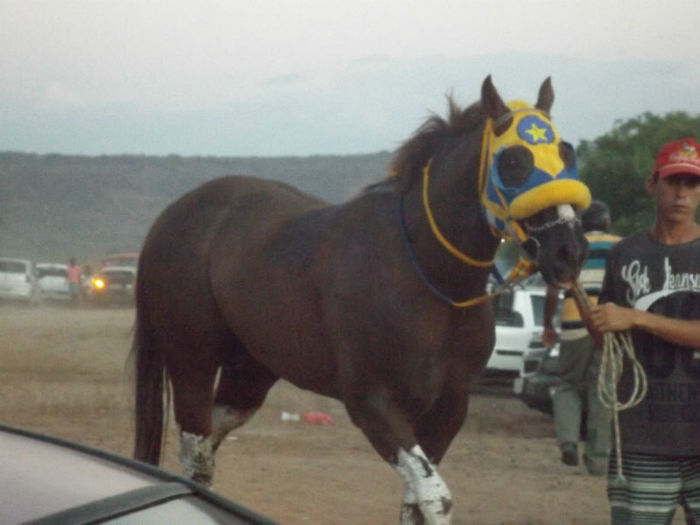 19ª Corrida de Cavalo - Imagem 30