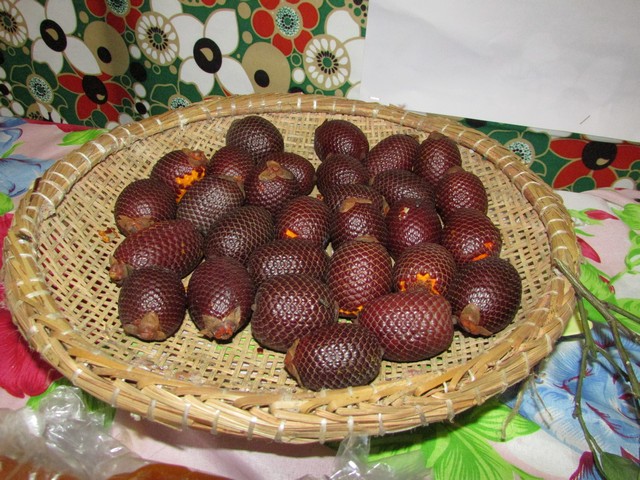 Escola Liberato Vieira Realizou a Culminância do Projeto de Potencialidades da Localidade Brejo da Fortaleza - Imagem 99
