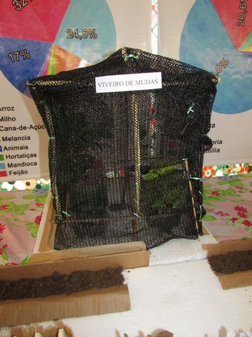 Escola Liberato Vieira Realizou a Culminância do Projeto de Potencialidades da Localidade Brejo da Fortaleza - Imagem 55