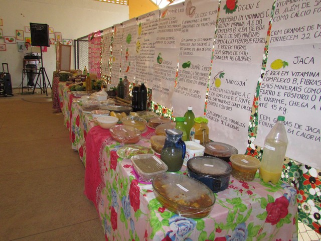 Escola Liberato Vieira Realizou a Culminância do Projeto de Potencialidades da Localidade Brejo da Fortaleza - Imagem 54