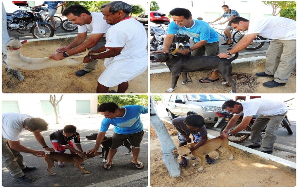 Sábado será o “D” de vacinação Antirrábica em Milton Brandão 