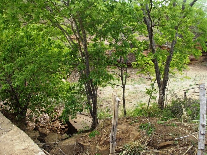 Prefeitura de São João da Varjota-PI Recupera Barragem na Região Quilombola de Paquetá e Potes - Imagem 24