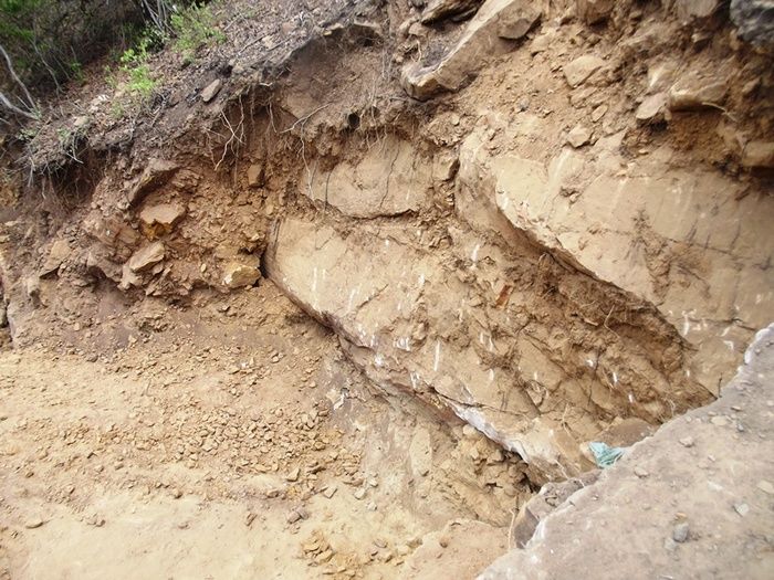 Prefeitura de São João da Varjota-PI Recupera Barragem na Região Quilombola de Paquetá e Potes - Imagem 16