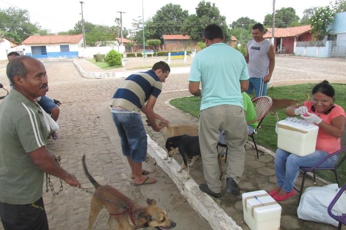 Vacinação de Cães e Gatos já iniciou em Agricolândia  - Imagem 30