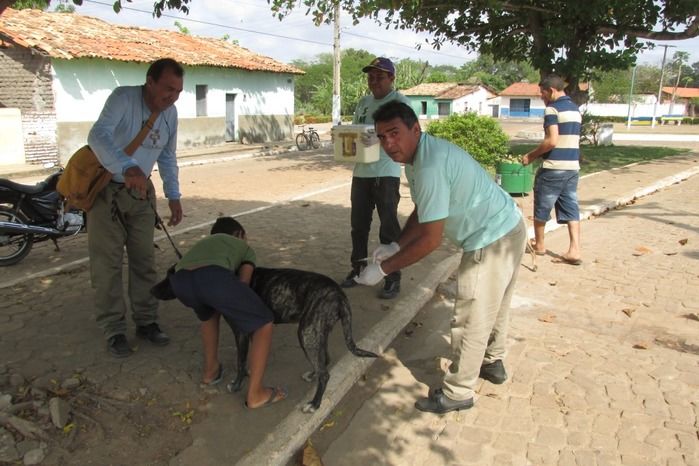 Vacinação de Cães e Gatos já iniciou em Agricolândia  - Imagem 12
