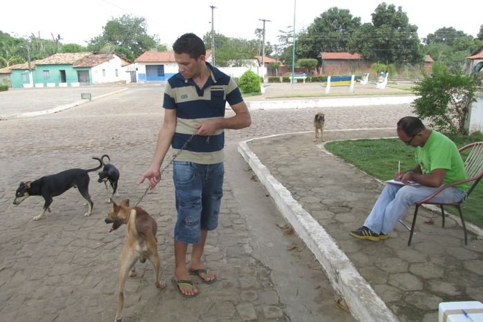 Vacinação de Cães e Gatos já iniciou em Agricolândia  - Imagem 17