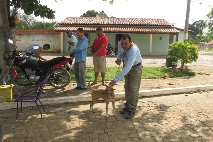 Vacinação de Cães e Gatos já iniciou em Agricolândia  - Imagem 29
