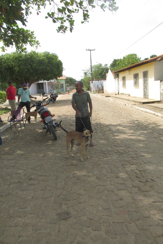 Vacinação de Cães e Gatos já iniciou em Agricolândia  - Imagem 27