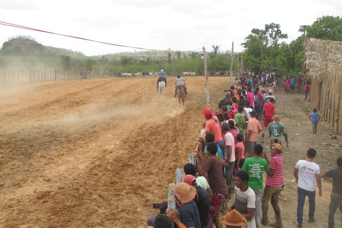 Parque de vaquejada 5 irmãos leva quase 3 mil pessoas em Curralinhos - Imagem 12