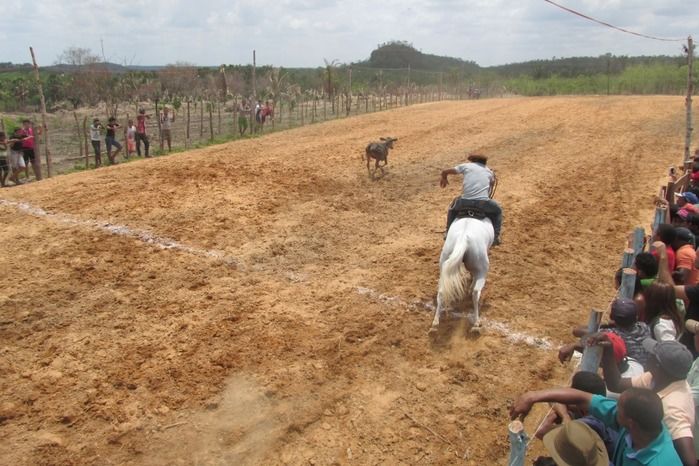 Parque de vaquejada 5 irmãos leva quase 3 mil pessoas em Curralinhos - Imagem 15