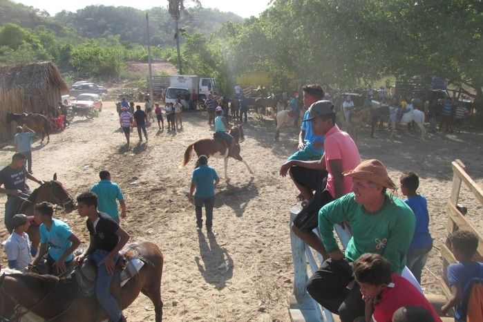 Parque de vaquejada 5 irmãos leva quase 3 mil pessoas em Curralinhos - Imagem 42
