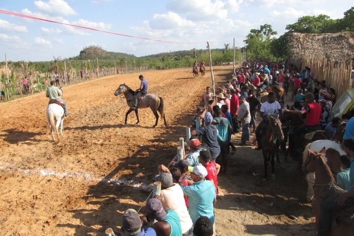 Parque de vaquejada 5 irmãos leva quase 3 mil pessoas em Curralinhos - Imagem 40