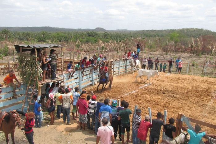 Parque de vaquejada 5 irmãos leva quase 3 mil pessoas em Curralinhos - Imagem 9