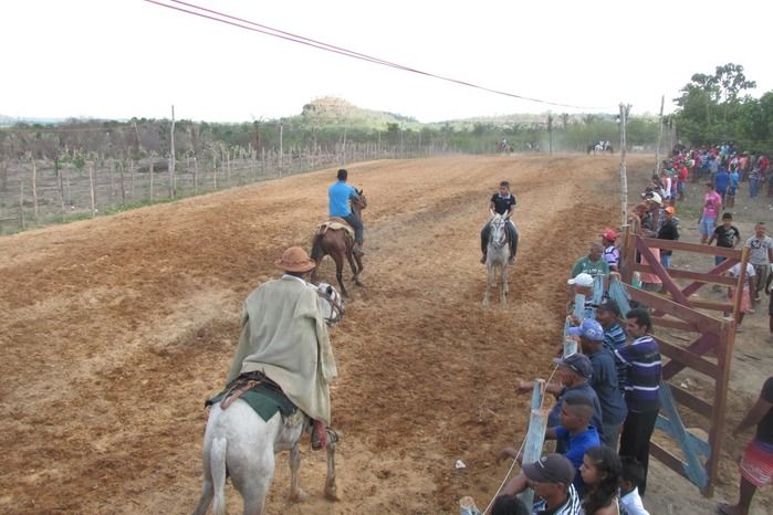 Parque de vaquejada 5 irmãos leva quase 3 mil pessoas em Curralinhos - Imagem 38